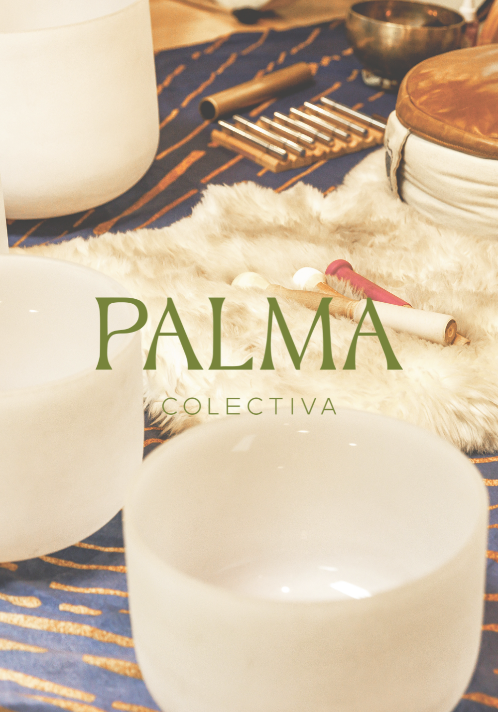 palmawebsite logo